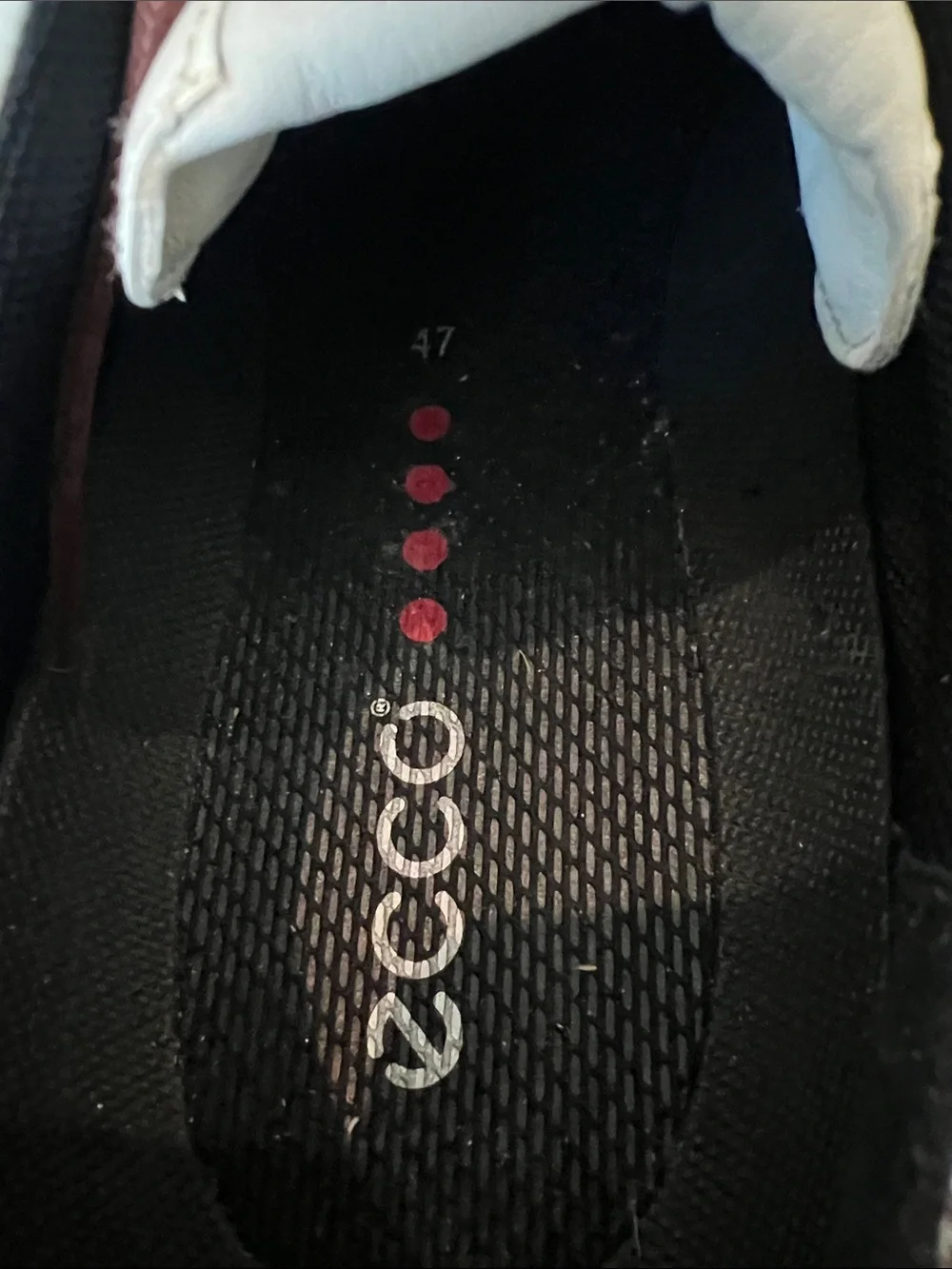 Ecco men’s golf